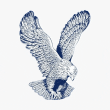 a blue and white drawing of an eagle with its wings outstretched