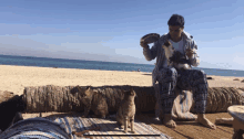 a man sits on a blanket with a cat on his lap and another cat behind him