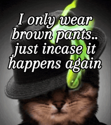 a cat wearing a hat with the words i only wear brown pants just incase it happens again on it