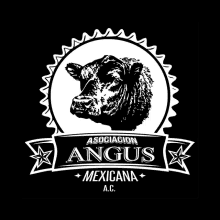 a logo for asociacion angus mexicana a.c.