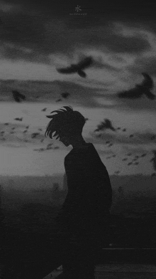 a black and white photo of a person standing in front of a flock of birds