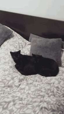 two black cats are laying on a bed with a patterned blanket