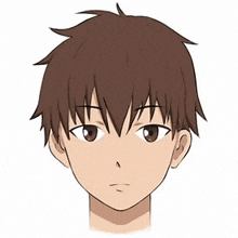 a cartoon drawing of a young boy 's face with brown hair .