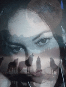 a double exposure of a woman 's face and a landscape of wolves