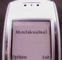 a nokia cell phone displays the options and exit buttons