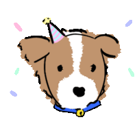 a brown and white dog wearing a party hat and collar