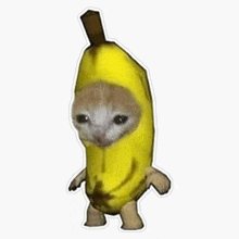 a cat is wearing a banana costume and standing on its hind legs .