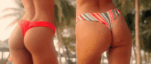 two women in bikinis are standing next to each other in front of palm trees .