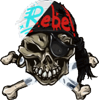 a pirate skull with a bandana that says rebel