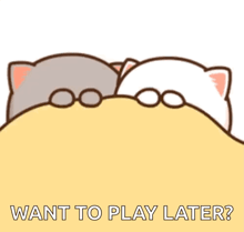 a couple of cats laying next to each other on a bed with the words `` want to play later '' .