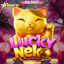 a game called lucky neko has a cat on the cover