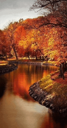 a river surrounded by trees that are changing colors in autumn