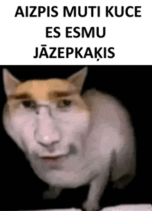 a cat with a man 's face on it 's face and the words aizpis muti kuce