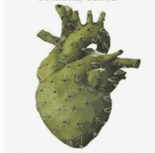 a green cactus shaped like a human heart .