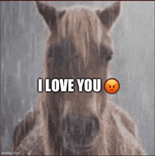 a horse with an angry face and the words i love you on it