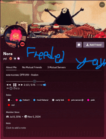 a screen shot of a discord account with the name nora on it