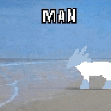 a pixel art of a donkey standing on a beach with the word man above it