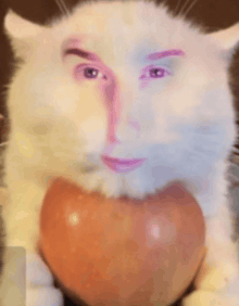 a white cat with a woman 's face painted on it is holding an apple