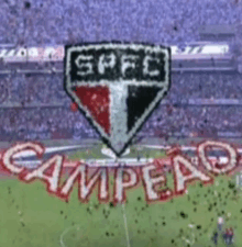 a soccer field with the word campeao written on the ground