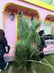 a woman is standing in front of a pink house holding a bunch of tall grass