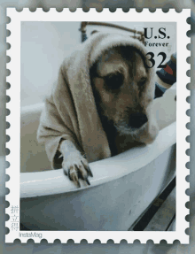 a postage stamp shows a dog wrapped in a towel and the words u.s. forever 32