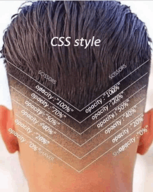 the back of a man 's head with the words css style written above it