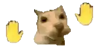 a cat with two yellow hands behind it 's head
