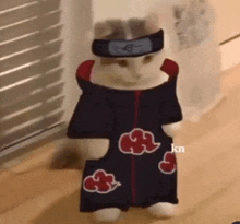 a cat is wearing a headband and a naruto costume .