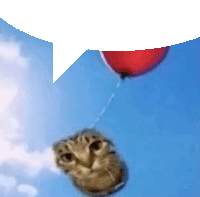 a cat is flying in the air with a red balloon