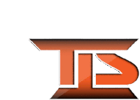 a logo for a company called ts is shown on a white background