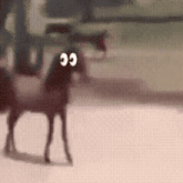 a horse with googly eyes is standing on a white surface