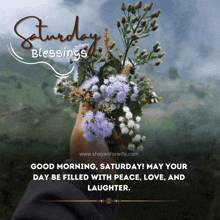 a person holding a bouquet of purple and white flowers with saturday blessings written on the bottom