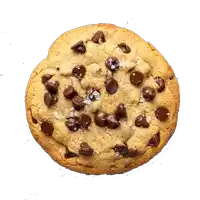 a close up of a chocolate chip cookie with sea salt on top