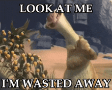 a picture of a giraffe with the words look at me i 'm wasted away