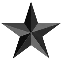 a black star on a white background with a pointed point