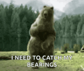 a bear is standing on its hind legs and says i need to catch my bearings .