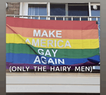 a rainbow flag with make america gay again written on it