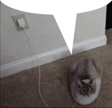 a cat laying on the floor next to an electrical outlet with a speech bubble above it