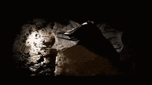 a black and white image of a bat flying in the dark