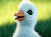 a white duck with a yellow beak is smiling