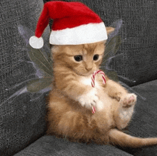 a kitten wearing a santa hat and wings is holding a candy cane