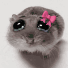 a hamster wearing a pink bow on its head is crying