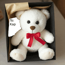 a white teddy bear with a red bow is in a black box that says to kap