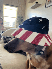 a dog wearing an american flag bucket hat