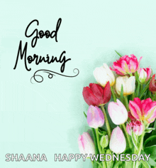 a bouquet of pink and white flowers with the words " good morning shaana happy wednesday "