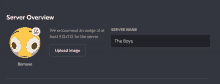 a screenshot of a server overview page with a smiley face
