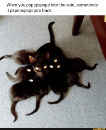 a group of black cats laying on a carpet with the caption when you pspspspsps into the void