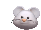 a close up of a white mouse 's face on a white background .