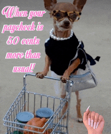 a chihuahua wearing sunglasses and a pearl necklace pushes a shopping cart full of groceries