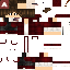 a close up of a minecraft skin of a boy with a hat on .